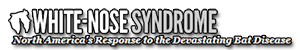white nose syndrome
