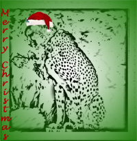 Christmas Cheetah