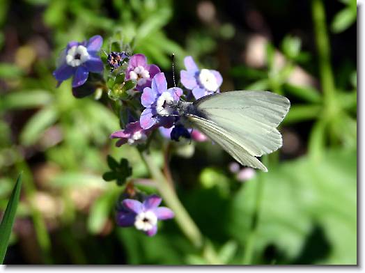 You have reached the last slide