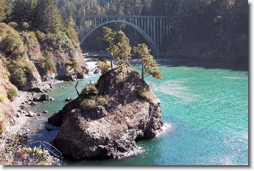 You have reached the last slide