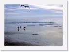pismo_surfers * 800 x 570 * (37KB)