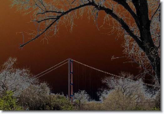 You have reached the last slide