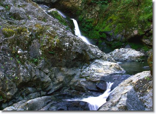 You have reached the last slide